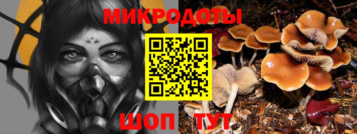 Псилоцибиновые грибы ЛСД  Вход с VPN  Сокол 